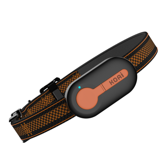 Wuufi-AI Powered Global GPS Pet Tracker