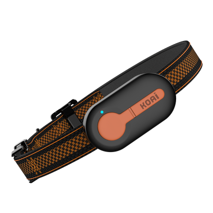 Wuufi-AI Powered Global GPS Pet Tracker